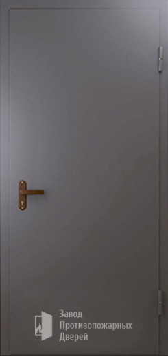 Фото двери «Техническая дверь №1 однопольная» в Талдому