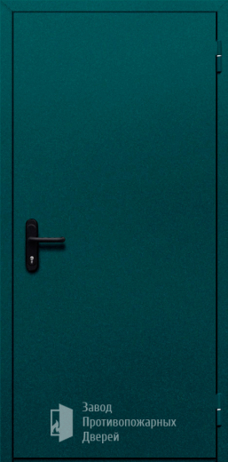 Фото двери «Однопольная глухая №16» в Талдому