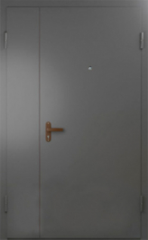 Фото двери «Техническая дверь №6 полуторная» в Талдому